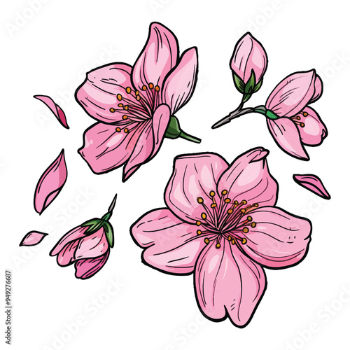 Pink peach blossom vector illustration set with petals and leaves on a white background 