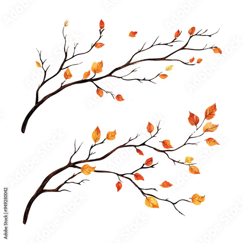 vector set of various autumn tree branches with yellow leaves with white background