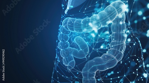 Digital Representation of the Human Intestine