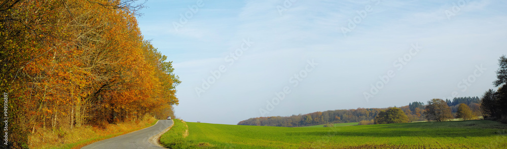 Autumn, trees and blue sky with clouds at countryside for environment, sustainability and road trip. Earth, outdoor and forest with banner in nature for eco friendly, travel and adventure in Germany Autumn, trees and blue sky with clouds at countryside for environment, sustainability and road trip. Earth, outdoor and forest with banner in nature for eco friendly, travel and adventure in Germany