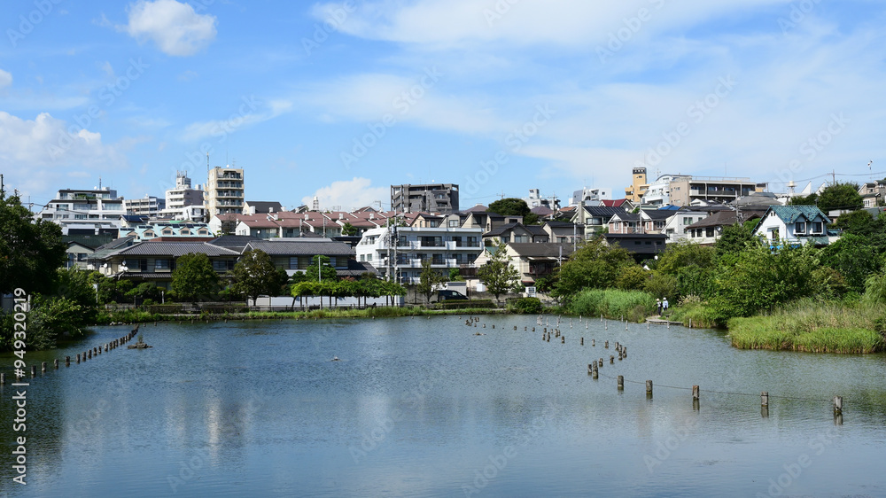 小池公園 東京都大田区 小池公園 東京都大田区