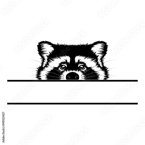 Peeking Raccoon