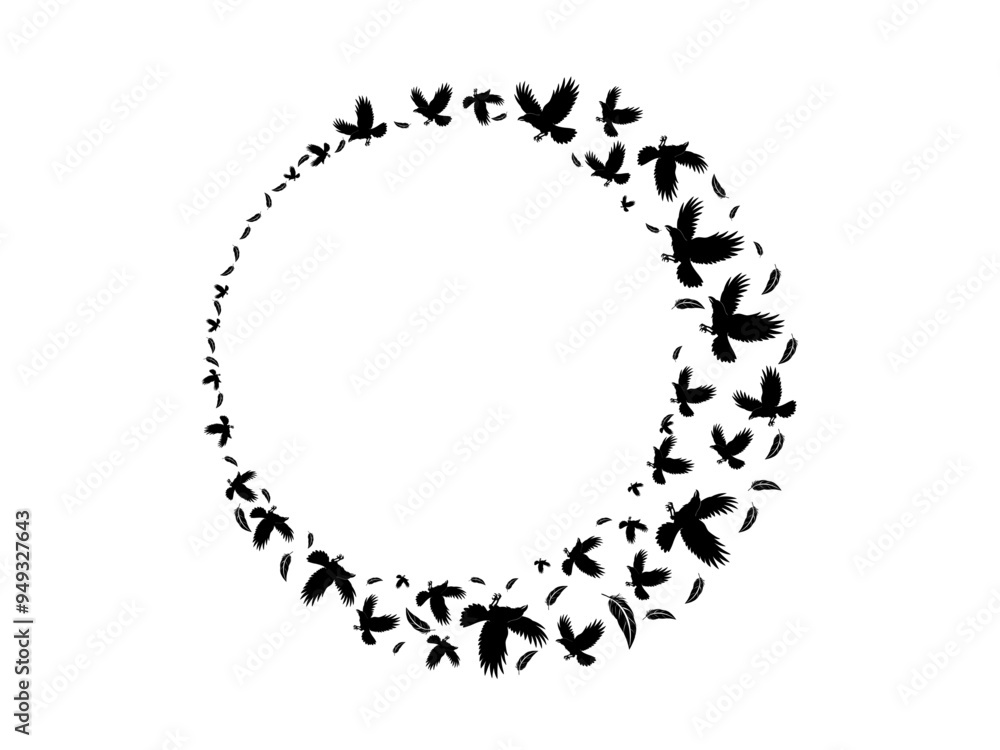 circle shaped frame of bird's and Feather's circle shaped frame of bird's and Feather's