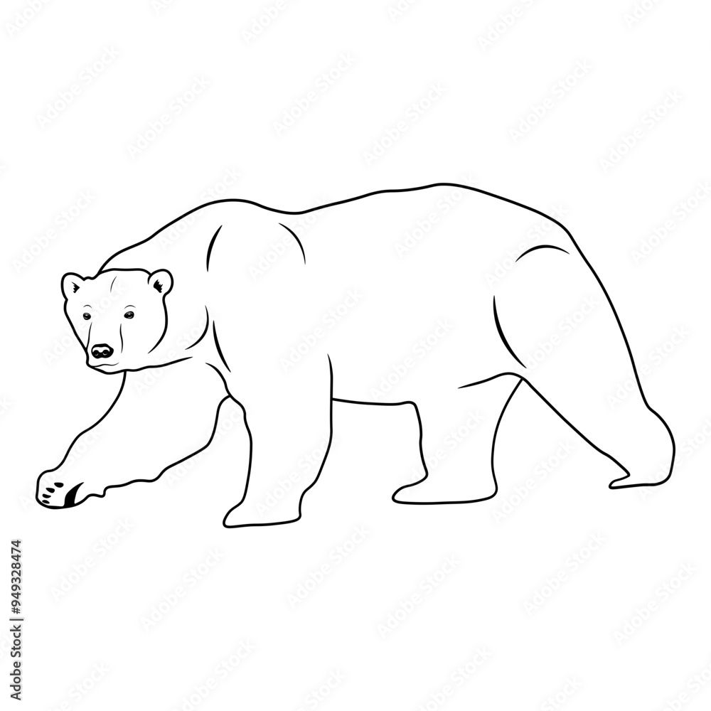 Fototapeta premium Polar Bear