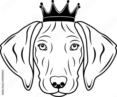 Plott Wearing A Crown