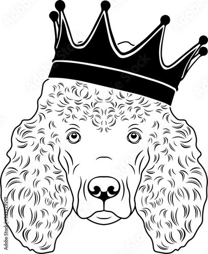 Poodle Wearing A Crown
