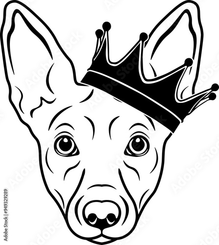 Portuguese Podengo Wearing A Crown