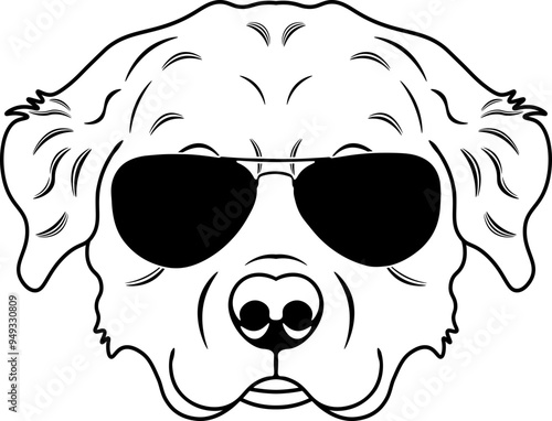 Pyrenean Mountain Dog In Sunglasses