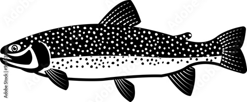 RAINBOW TROUT