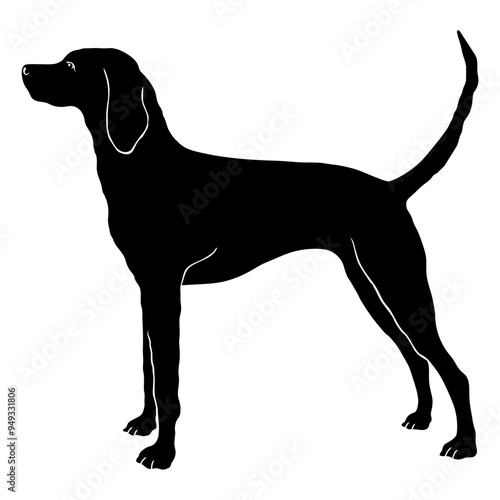 Redbone Coonhound