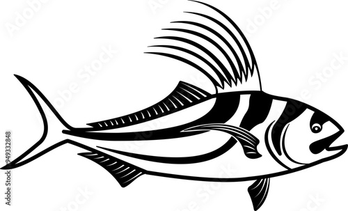 Roosterfish