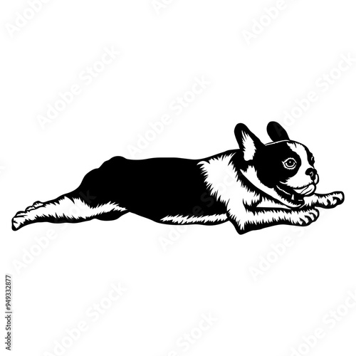Running Dog Collection