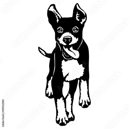Running Dog Collection