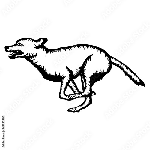 Running Dog Collection
