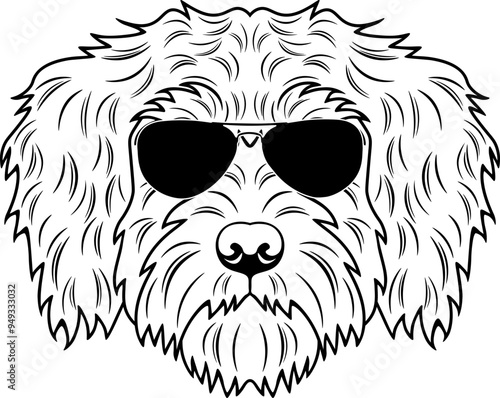 Schnoodle In Sunglasses