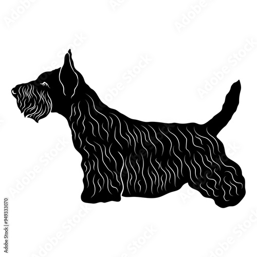 Scottish Terrier