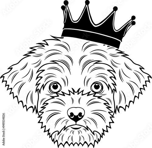 Shorkie Wearing A Crown