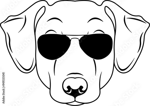 Sloughi In Sunglasses