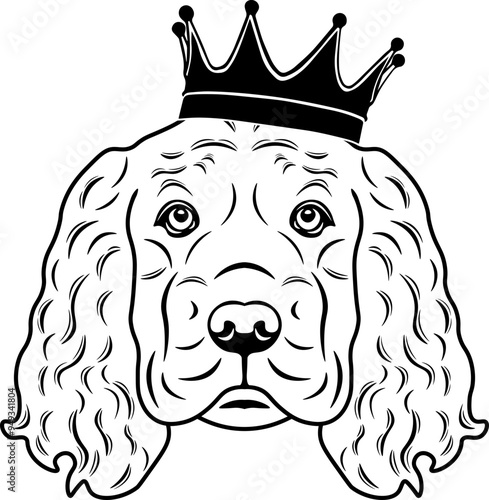 Sussex Spaniel Wearing A Crown