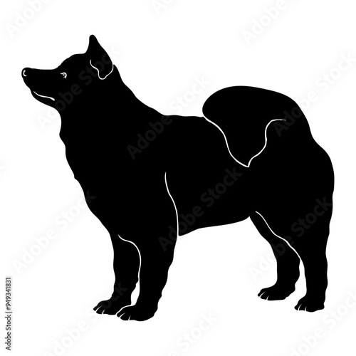 Swedish Lapphund