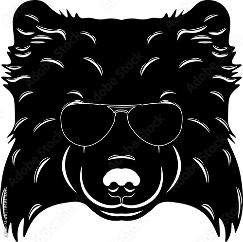 Swedish Lapphund In Sunglasses