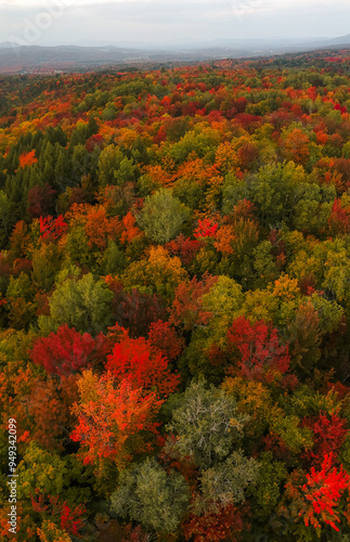 Aerial Vertical Panorama Colorful Forest Autumn Fall Foliage. Stowe Vermont, USA New England. Drone Overhead View Wide Landscape