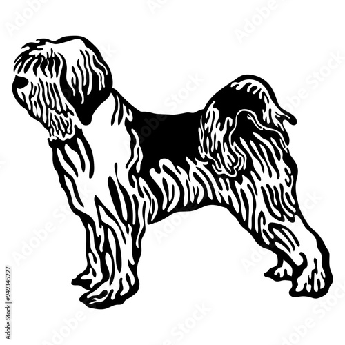 Tibetan Terrier