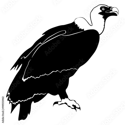 Vulture