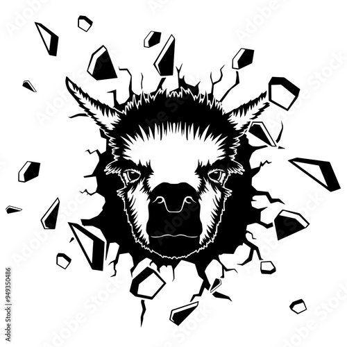 Wall Smashing  llama