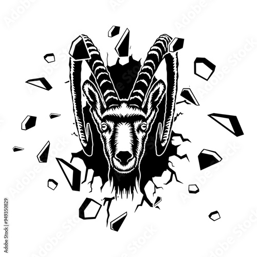 Wall Smashing  Ibex
