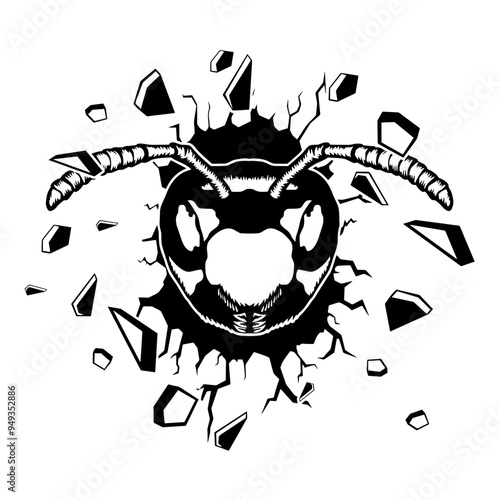 Wall Smashing  Wasp