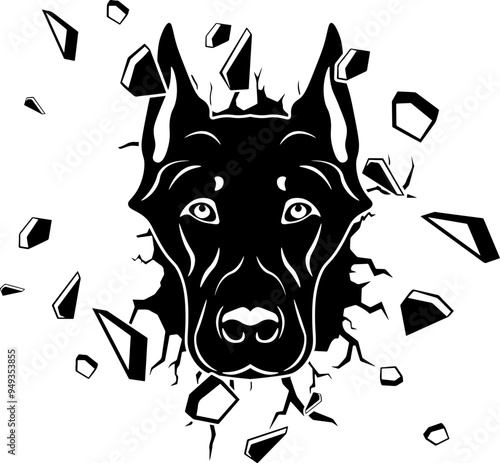 Wall Smashing Beauceron