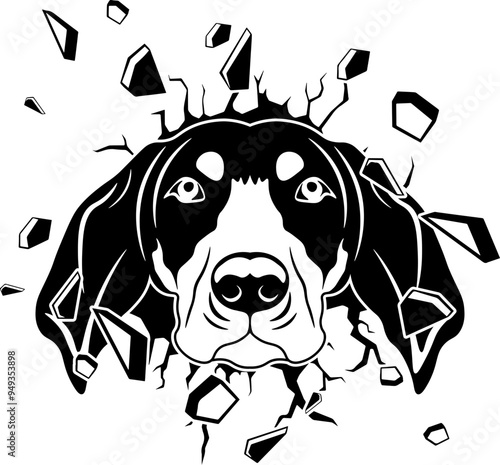 Wall Smashing Bluetick Coonhound