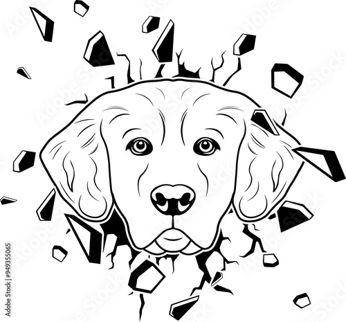 Wall Smashing Golden Retriever