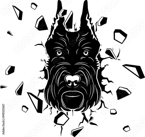 Wall Smashing Giant Schnauzer