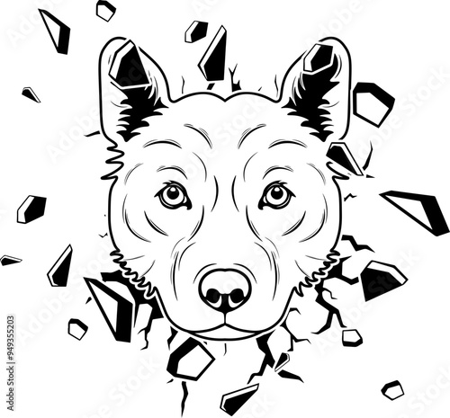 Wall Smashing Jindo