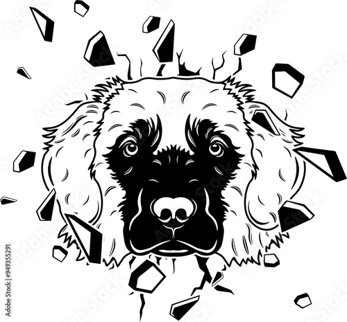 Wall Smashing Leonberger