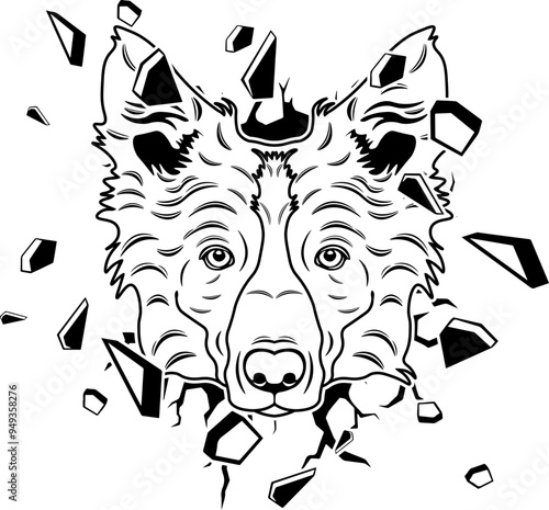 Wall Smashing Welsh Collie Welsh Sheepdog