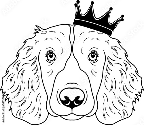 Welsh Springer Spaniel Wearing A Crown