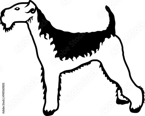 Airedale Terrier