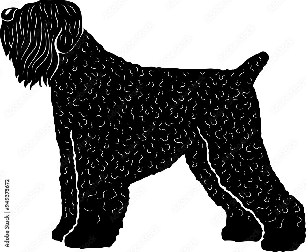 Black Russian Terrier Black Russian Terrier