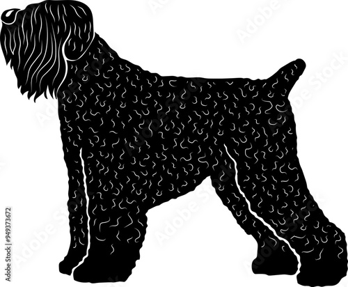 Black Russian Terrier