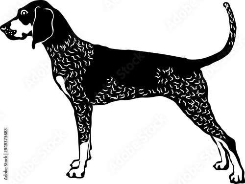 Bluetick Coonhound