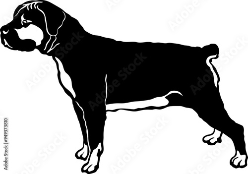Boerboel