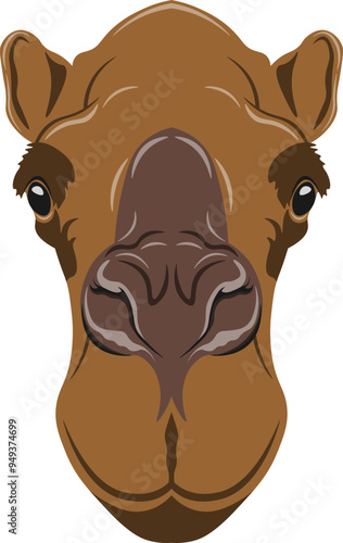 Camel Face