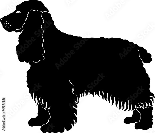 Cocker Spaniel