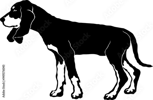 Coonhound