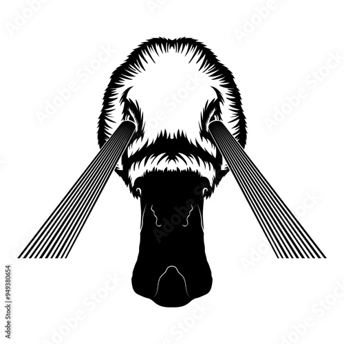 Duck Lazer Beam Eyes