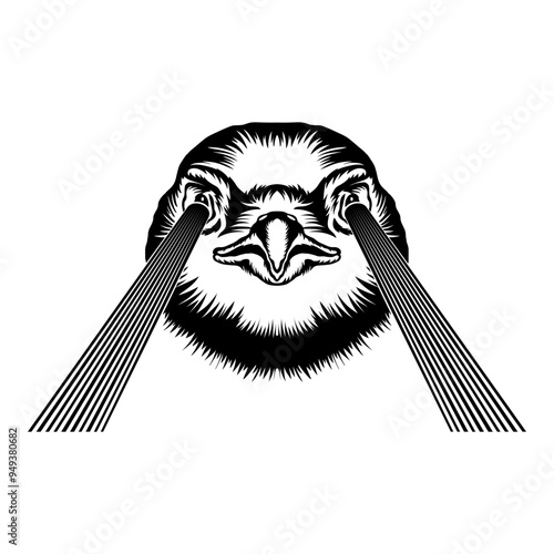 Eagle Lazer Beam Eyes