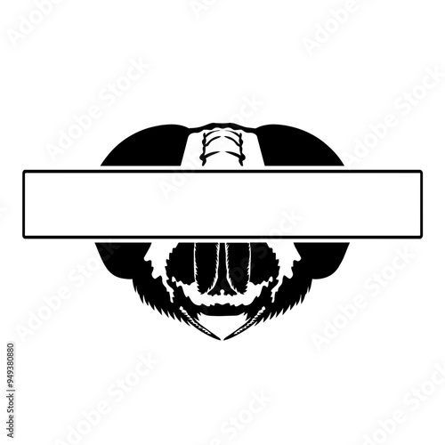 Eyes Banner Fly